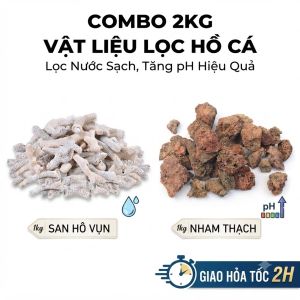 Combo 2kg Vật Liệu Lọc Hồ Cá: 1kg Nham Thạch & 1kg San Hô Vụn Tăng pH Lọc Nước Sạch