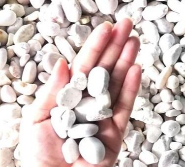 หินแม่น้ำสีขาว เบอร์ 1 ขนาด 1 กก. สำหรับตกแต่งตู้ปลา ประดับต้นไม้ DIY