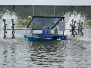 เครื่องบำบัดน้ำเสีย กังหันตีน้ำขนาด 350 วัตต์ โครงสแตนเลส304เครื่องบำบัดน้ำเสียเครื่องเพิ่มออกซิเจนในน้ำใช้พลังงานแสงอาทิตย์ 100%