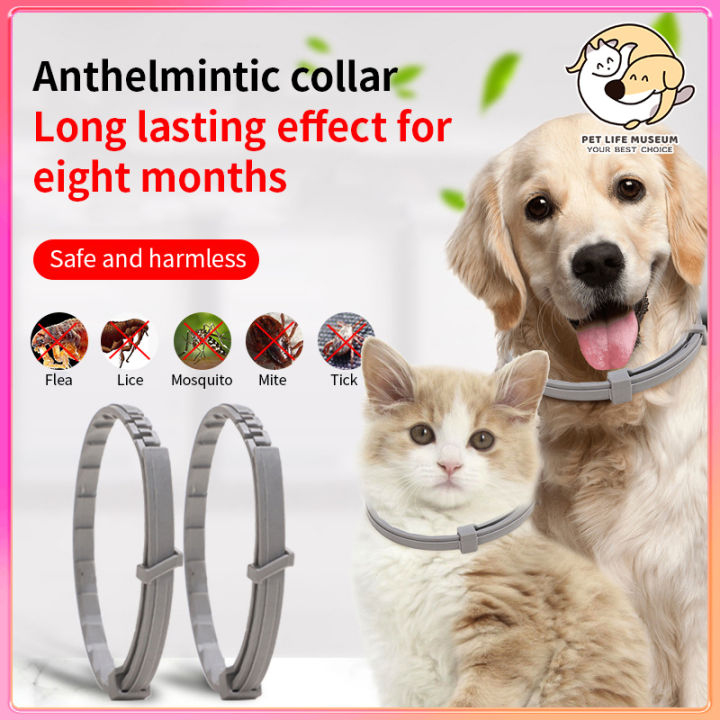 Image showcasing Pet Dog Collar Adjustable Anti Tick Mite Flea Collar for Pet Kitten ...