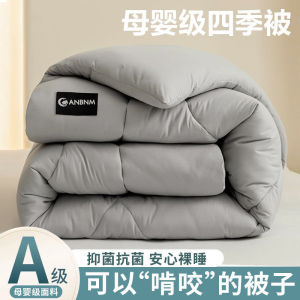 Chăn bông đậu nành mùa đông lõi chăn bông dày dạn ấm áp 2024 Chăn mới mùa xuân và mùa thu chăn điều hòa đơn