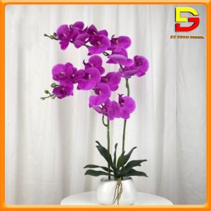 Hoa Giả Chậu Hoa Lan Hồ Điệp 2 Nhánh Cắm Sẵn Nhiều Sắc Decor Trang Trí Nhà Cửa DG-173