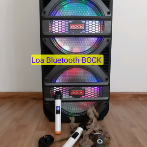 Loa Bluetooth KaraOke 2 Bass 1 Treble  2 Mic có 2 đèn đổi màu