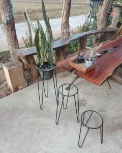 ชั้นวางกระถางต้นไม้ ชั้นวางต้นไม้ ชั้นวางดอกไม้ ตกแต่งสวน ชั้นวางกระบองเพชร กระถางต้นไม้ ชั้นวางกระถางดอกไม้ ชั้นวางของ สูง60CM