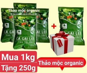 TRÀ TÚI LỌC CÀ GAI LEO SADU TẶNG 250G KHI MUA 1KG