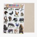 Poster Anak - Poster Edukasi Anak Lembaran – Herbivora / Carnivora / Omnivora / Reptiles / Insectivora / Unggas /Pustaka Baru. 