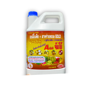 จะเด็ด 3เอจัมโบ้ ขนาด 4 ลิตร ไคโตซาน อะมิโน นํ้าตาลทางด่วน สาหร่ายทะเล อาหารพืชปุ๋ยฮอร์โมนพืช ฉีดพ่นทางใบ