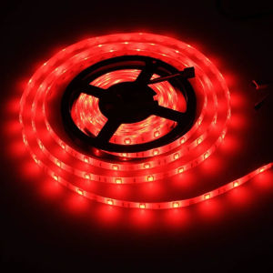 5M SMD 5050 LED Strip Light DC 12V Flexible LED Tape Ribbon White Warm White 60leds/m RGB Waterproof Ruben For Home Decor Room Bedroom TV Backlight