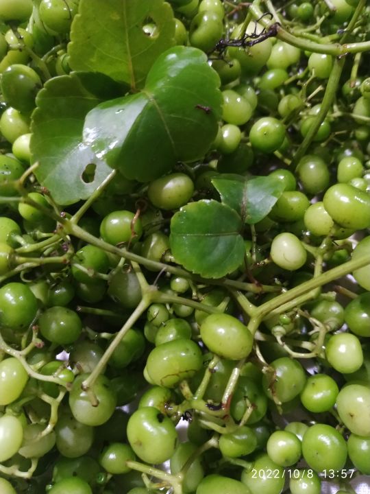 Trái giác Miền Tây 500g