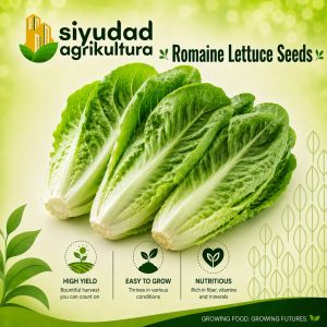 Repacked Premium Romaine Lettuce Seeds | High-Quality Lettuce Vegetable Seeds for Planting Home Garden Backyard Urban Gardening Container Planting Vegetable Garden Kitchen Garden & Farming