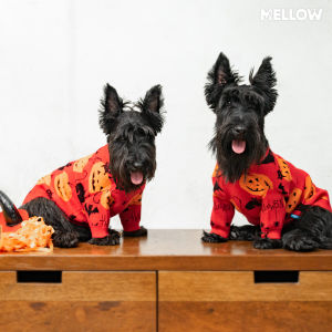 HALLOWEEN SWEATHER (เสื้อสำหรับน้องหมาน้องเเมว)