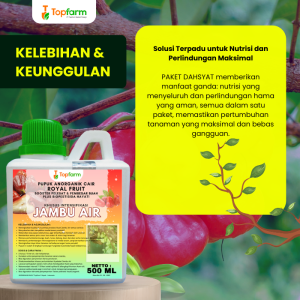 Pupuk Topfarm / Pestisida Topfarm / Pupuk Pelebat Buah Jambu Air / Pupuk Booster Buah Jambu Air / Pupuk Pemanis Buah Jambu Air / Obat Pembasmi Hama Daun Jambu Air / Obat Hama Ulat Buah Jambu Air / Obat Hama Jambu Air