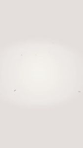 Red Wine Cabinet Constant Temperature Wine Cabinet Home Ice Bar Small Compressor Refrigerated Tea Cabinet Silent Constant Humidity Cabinet