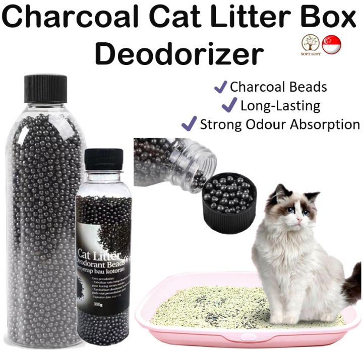 Cat box odor eliminator best sale