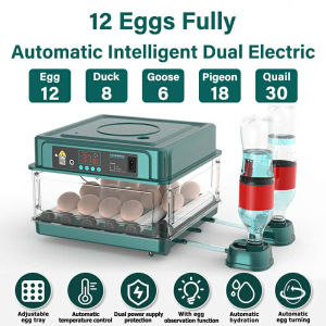 220V/12V Egg Incubator Fully Automatic Intelligent Constant Incubator With Turner