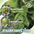 กะเพรา ขาวตราลูกโลก ขนาด 25 กรัม ปลูกง่าย ใบใหญ่ ต้นแข็งแรง. 