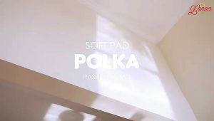 Liana Pashmina soft pad antem jilbab terbaru murah kekinian hijab kerudung scraft ceruty terlaris