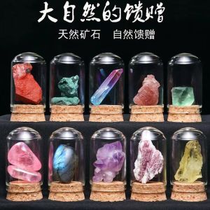 Natural Crystal Ore Specimens Ornaments Rocks Raw Stones Mineral Crystals Collectibles Childrens Science Popularization Teaching Gifts天然水晶矿石标本摆件岩石原石矿物晶体收藏品儿童科普教学礼物
