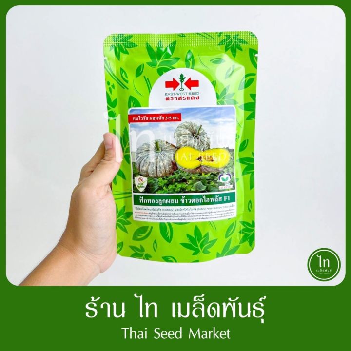 เมล็ดฟักทองลายข้าวตอก ไฮพลัส F1 ตราศรแดง ลูกผสม ผลผลิตดี