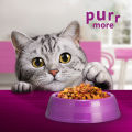 WHISKAS Cat Food Dry Adult Indoor 1.1kg. 
