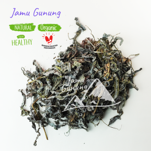 Daun Tempuyung Kering 500gr Asli dan Bersih