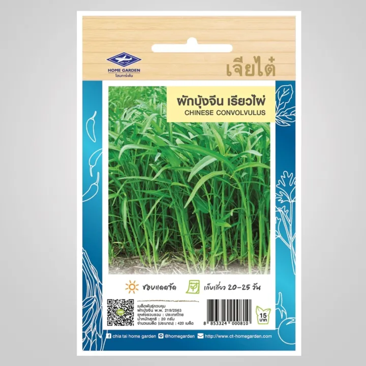 เมล็ดผักบุ้งจีน เรียวไผ่ เจียไต๋ 420 เมล็ด ปลูกง่าย โตเร็ว