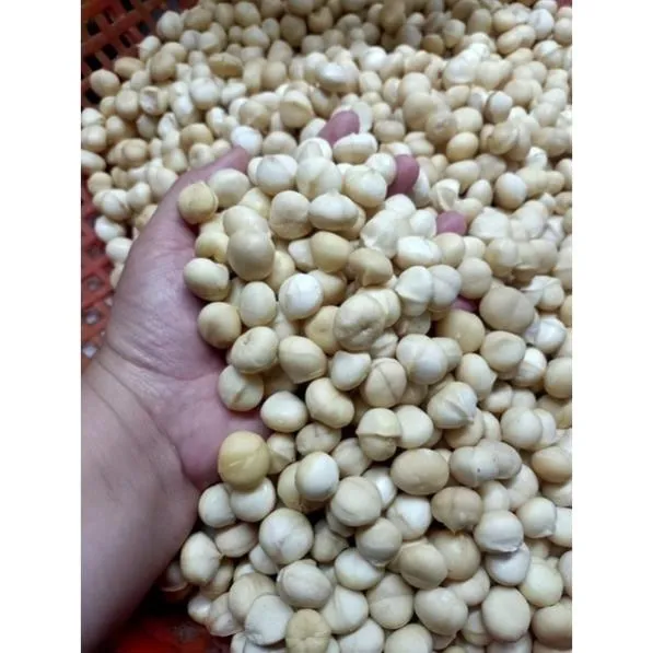 Nhân hạt Macca bóc sẵn daklak chuẩn chất lượng 100%