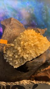 Hoa đá Thạch Anh vàng Citrine tự nhiên tinh thể pha lê năng lượng vũ trụ cao phong thủy nhà ở mã 479