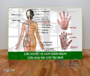 Tranh Y Khoa treo tường 2
