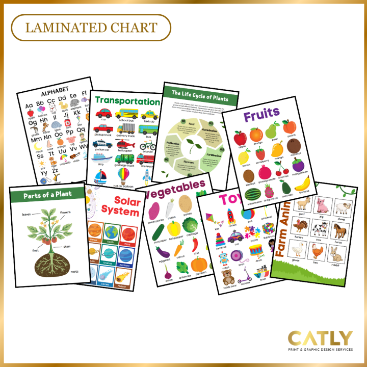 EDUCATIONAL CHART | LAMINATED | A4 SIZE | FOR KIDS | Lazada PH