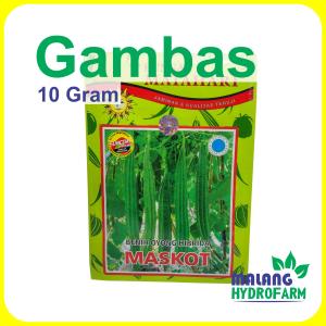 Benih Gambas Maskot 50 g Cap Bunga Matahari dataran rendah sampai menegah unggul bibit biji sayur bening oyong hydroponik hidroponik