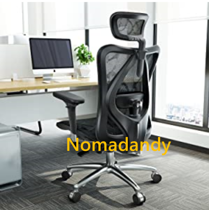 Sihoo M57 Ergonomic Office Chair, Computer Chair Desk Chair High Back Chair Breathable, Skin