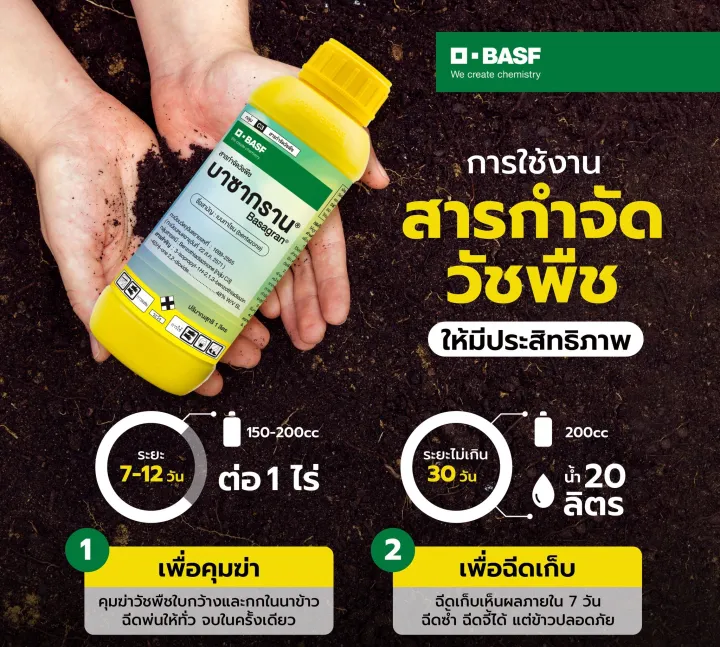 10 อันดับ ยาฆ่าหญ้าและยากำจัดต้นไม้ดีที่สุด ปี 2025 ที่ชาวสวนต้องมี!