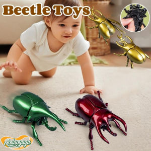 Aoduoyaya Beetle Toys Simulated Beetle Fighting Moving Insect Toy Children Educational Toy