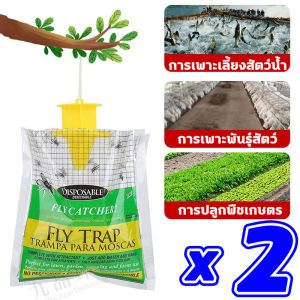 100000 กิโลเมตรไม่มีแมลงวัน สารล่อแมลงวันทอง นำเข้า สารล่อแมลงทอง สวนผลไม้ก็ใช้อยู่ ยากำจัดแมลงวันทอง จับได้ครั้งละ 4KG ที่ดักแมลงวันทอง มีสารดึงดูดในตัว สารล่อแมลงวันทองตัวเมีย สารล่อแมลงวันทอง เข้มข้นสุด ดึงดูดแมลงวัน100% สารล่อแมลงวันทองตัวเมีย