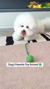 PETWELL Cat Dog Toy Interactive Smart Ball with USB Charging Automatic Rolling for Indoor Pets