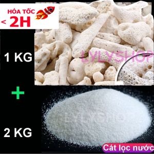 Combo 2kg Cát Thạch Anh + 1kg San Hô - Vật Liệu Lọc Bể Cá Trải Nền Trang Trí Hồ Cá Cảnh Siêu Sạch