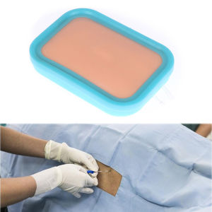 Intravenous Injection Training Model Skin Blood Return Puncture Module Intramuscular Injection Simulation