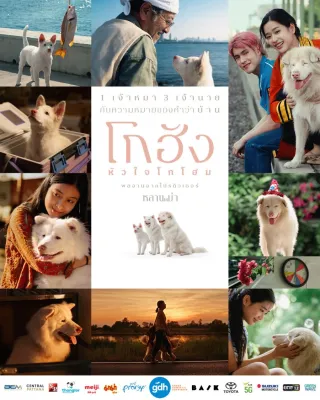 โกฮัง..หัวใจโกโฮม Gohan (2026) DVD หนังใหม่ มาสเตอร์ พากย์ไทย