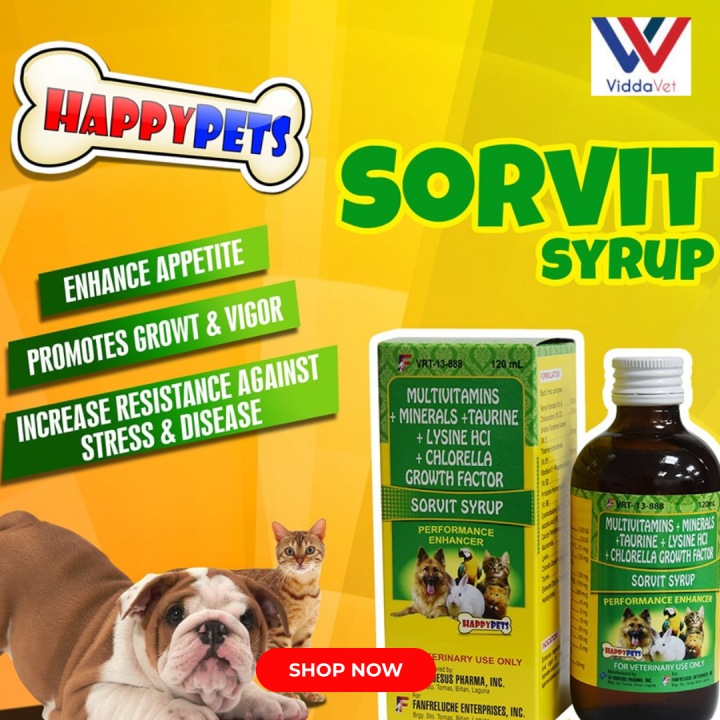 Sorvit Syrup 60ml 120ml Multivitamins Minerals Taurine