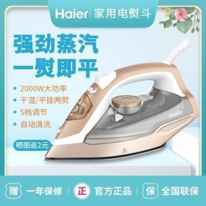 Dry Iron With Steamer Iron Box Steamer Clothes Travel Iron Clothes Steamer Iron Box for Home Steam Iron Steam Hand Flat Hanging Electric Transport Ironing Shake Artifact 蒸汽熨斗 熨衣服