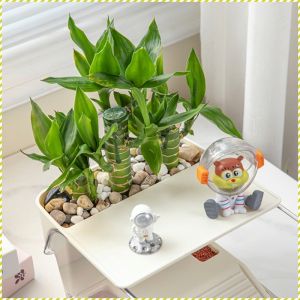 Ornament Box Small Removable Base Kennel Ecological Landscaping Flexible and Anti-breakage Turtle Tank