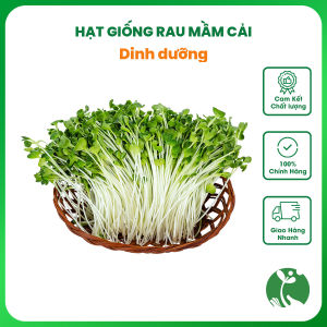 Hạt giống Rau Mầm Cải dinh dưỡng gói 20gr - Thu hoạch sau 7 ngày
