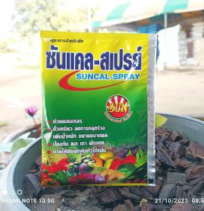 ซันแคล-สเปรย์ ธาตุอาหารสำหรับพืชแคลเซียม24-โบรอน2 ซันแคล-สเปรย์ จุ50gแคลเซียมชนิดผงละลายน้ำง่าย ธาตุอาหารเสริมพืช ลดการหลุดร