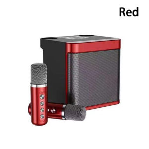 Speedefy Karaoke Machine with 2 Wireless Microphone Portable Bluetooth Speaker for Indoor Outdoor Party