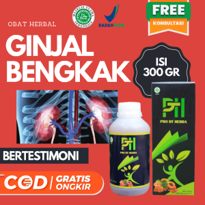 Obat Ginjal Bengkak Ampuh Herbal Pembengkakan Ginjal Gagal Ginjal Batu Ginjal Ginjal Bocor Infeksi Pendarahan Pada Ginjal Ginjal Kotor Sakit Ginjal Akut Kronis Pro DT Herba Alami