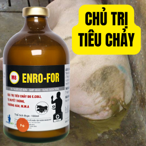 ENRO-FOR HUYỄN DỊCH