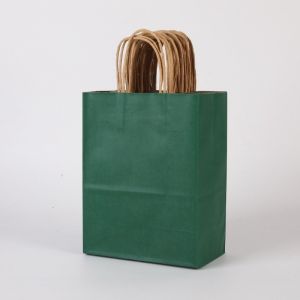 10pcs Kraft Paper Twisted Handle Kraft Paper Bag with Twist Handle Bag Gift Bag Plain Paper Bag