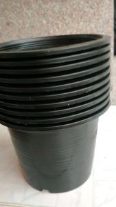 กระถาง 8 นิ้วดำ แพ็ค 10 ใบ ราคาถูก