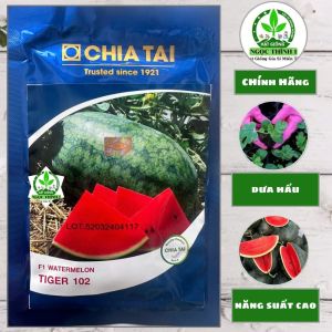 Hạt Giống Dưa Hấu F1 Tiger 102 CHIATAI (Gói 20gr) - Dạng trái đẹp ruột đỏ chắc cứng
